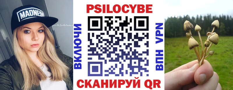 Купить  Минусинск  Псилоцибиновые грибы Magic Shrooms 